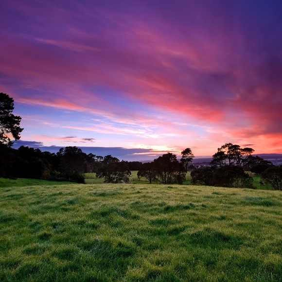 Meet your Posher, Juliana - Picture 1 of 1